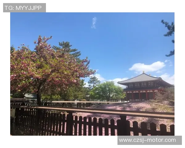 大阪樱花迎战湘南比马力争联赛胜利展现球队风采与实力